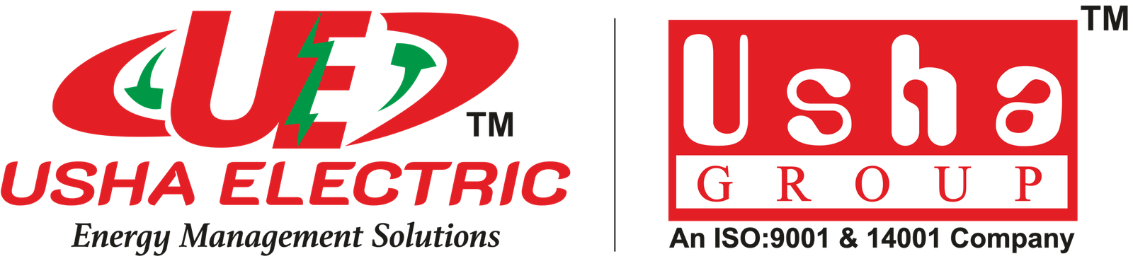 USHA ELECTRIC POWER PVT LTD